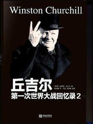 cover image of 第一次世界大战回忆录2